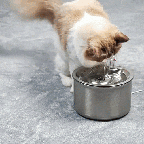 Katzen-Trinkbrunnen Edelstahl mit Sensor & 4-fach Filterung -    Zorenza