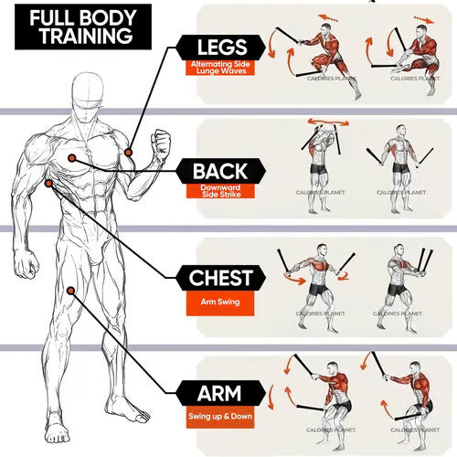 Gewichtete Federtrainingsseile – Heimfitness-Ausrüstung - Zorenza