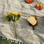 Picknickdecke mit Boho-Muster und Fransen – Polyester -    Zorenza