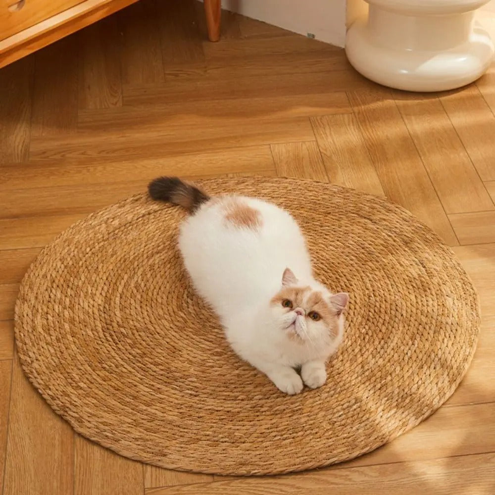 Geflochtene Jute-Kratzmatte für Katzen – Natürlich & Langlebig -    Zorenza