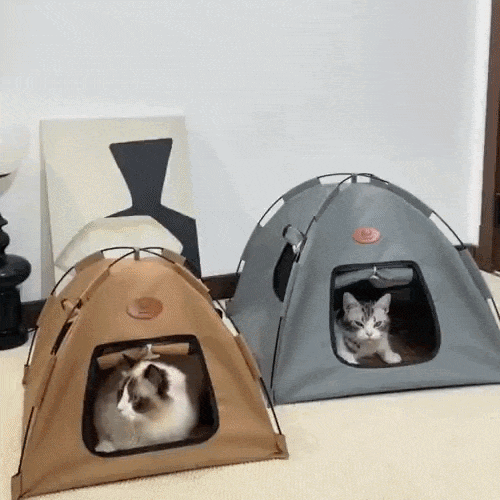 Faltbares Haustierzelt – Gemütlicher Rückzug für Katzen & Kleinhunde -    Zorenza