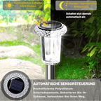 Solar Gartenleuchte Edelstahl mit Acryl-Schirm, 33 cm -    Zorenza