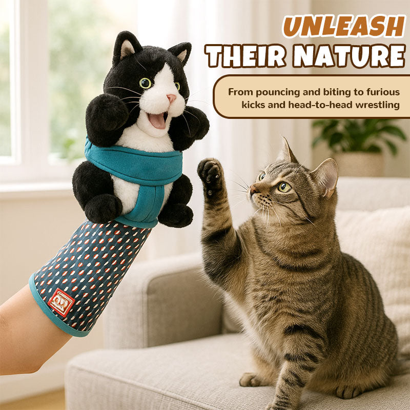 Katzenhandschuh mit Plüschpuppe – Spielen ohne Kratzer Zorenza