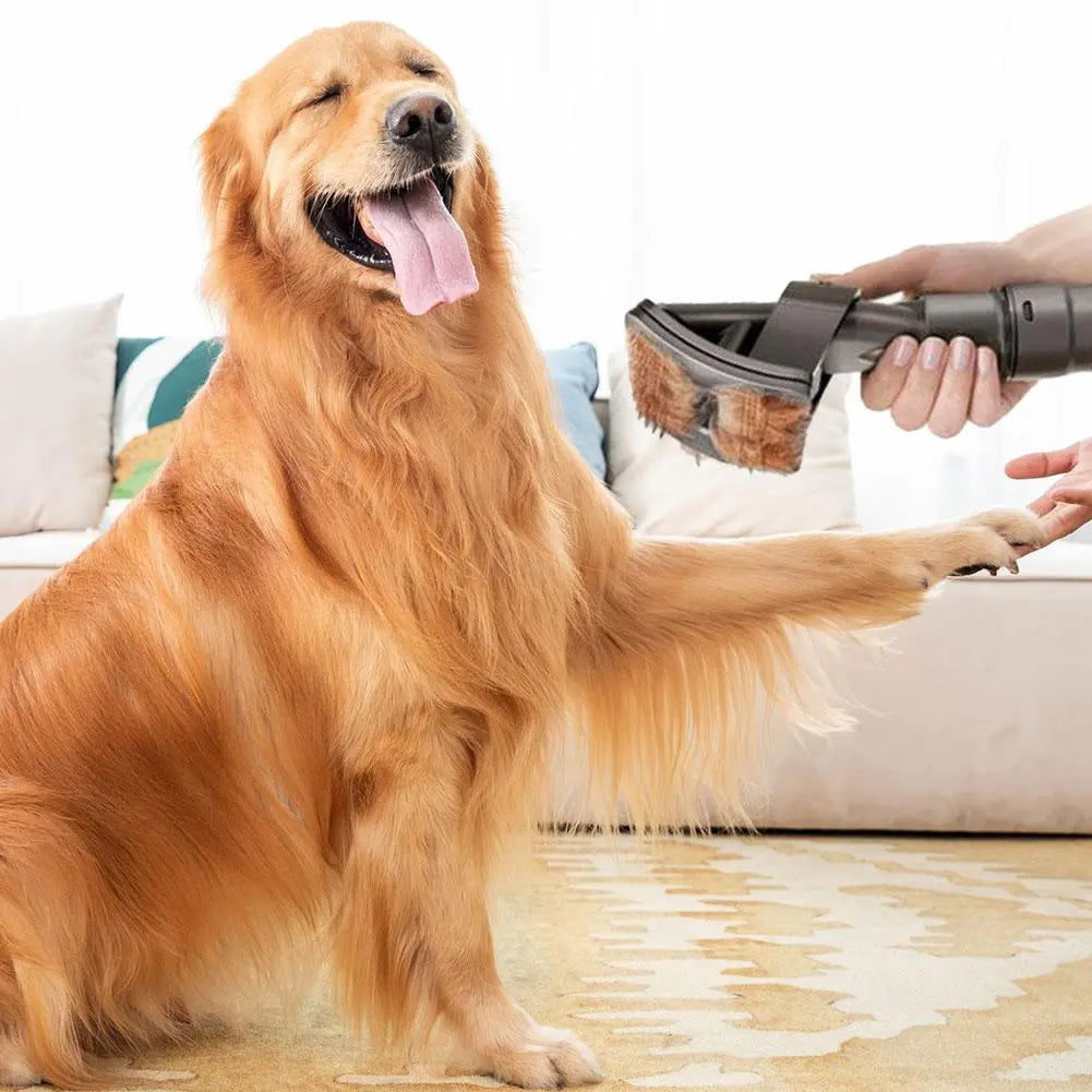 Staubsaugerbürste Tierhaare – Aufsatz für Hunde und Katzen -    Zorenza