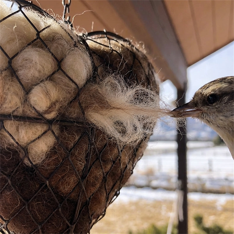 Herzförmiger Halter für Vogelnestmaterial mit Aufhängekette Zorenza