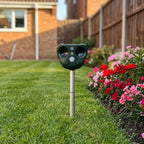 Ultraschall Vogelschreck Solar – Wetterfest für Garten und Hof -    Zorenza