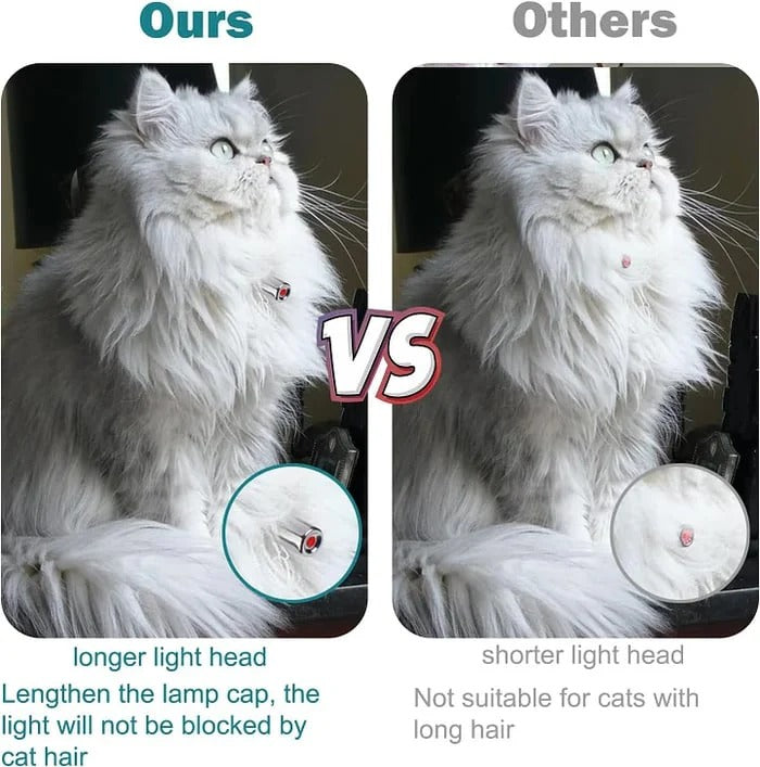 Automatisches Laser-Spielhalsband für Katzen – Aktiv Auch Ohne Aufsicht Zorenza
