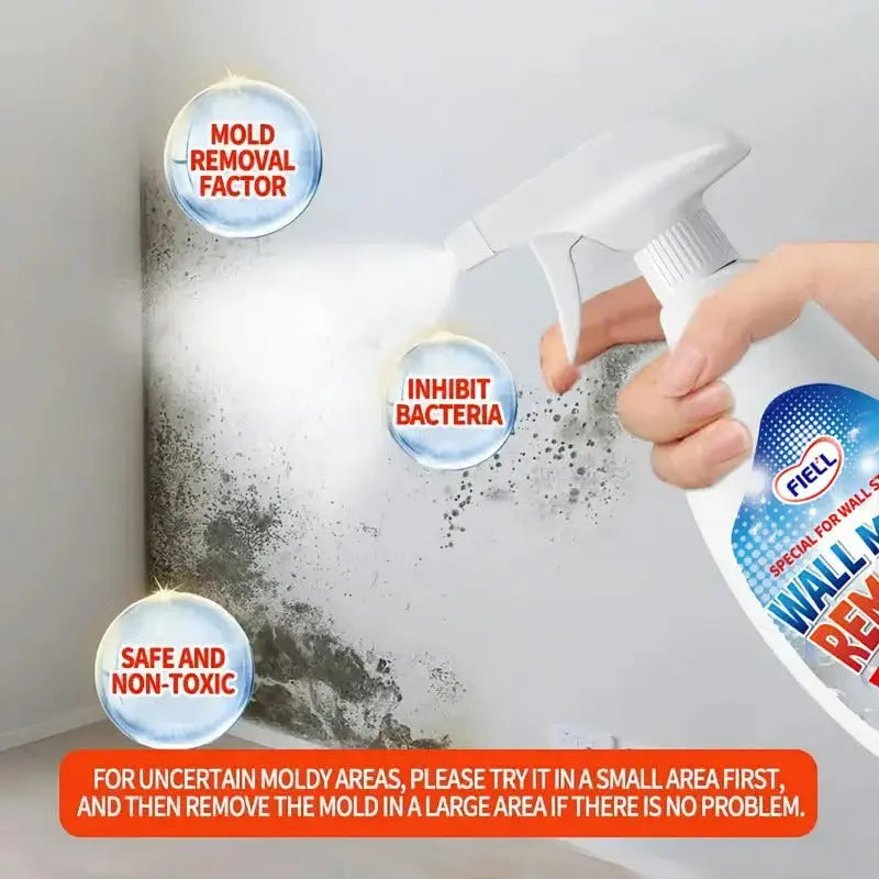 Anti-Schimmel Spray | Schnelle Wirkung, sicher für Zuhause Zorenza