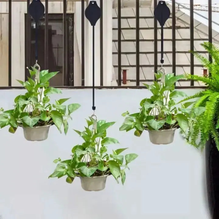 2+2 Gratis | Das elegante Pflanzen-Hängeset für dein Zuhause Zorenza