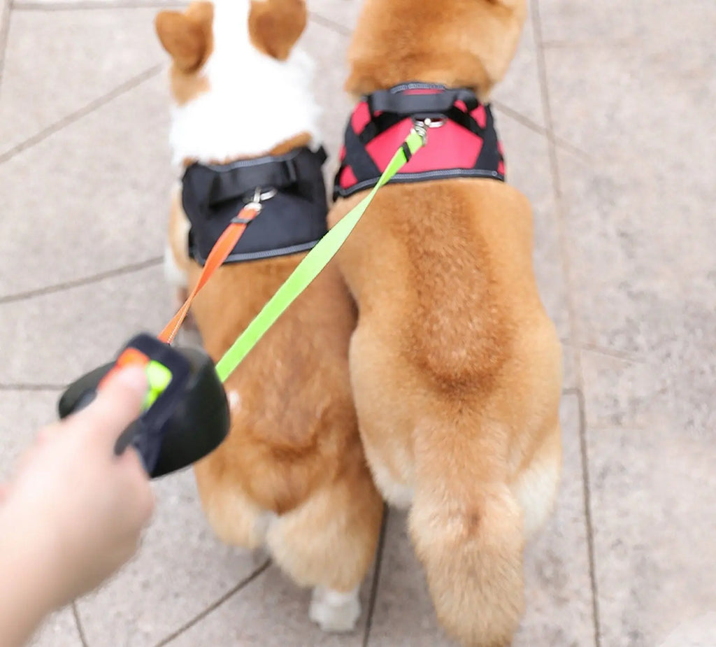 Doppelte Einzieh-Hundeleine mit LED-Taschenlampe – Zwei Hunde gleichzeitig führen Zorenza