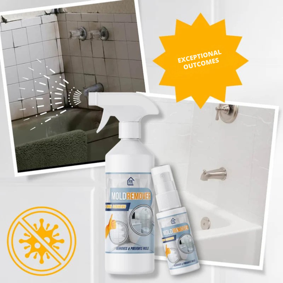 Schimmelentferner-Spray – Beseitigt Flecken schnell - Zorenza