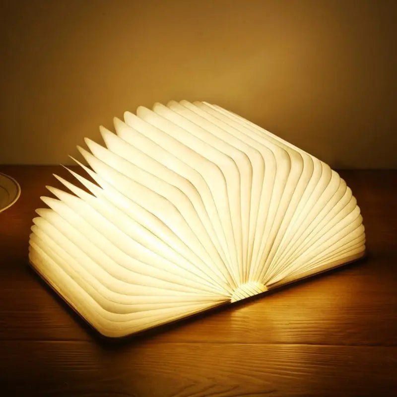 Faltbare LED-Buchlampe – Aufladbar und stufenlos einstellbar Zorenza