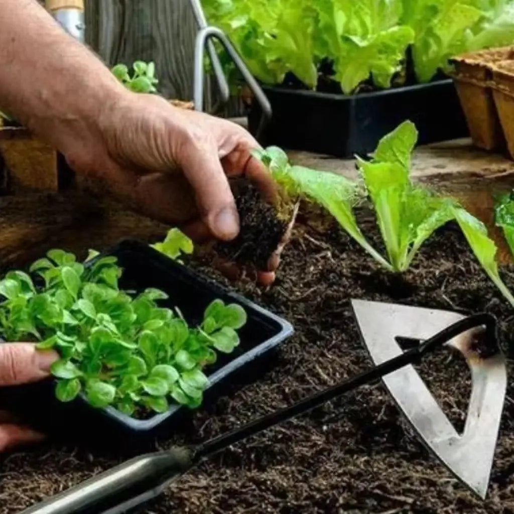 Garten-Unkrautstecher mit Hohlklinge – Weniger Aufwand, sauberes Ergebnis Zorenza