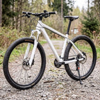Fahrradständer höhenverstellbar, 32,7–37,8 cm, Kunststoff-Aluminium-Kombination -    Zorenza