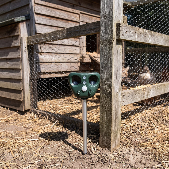Ultraschall Vogelschreck Solar – Wetterfest für Garten und Hof -    Zorenza