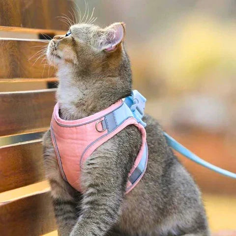 Katzengeschirr mit Leine – Komfortabler Sitz mit reflektierenden Sicherheitsstreifen Zorenza