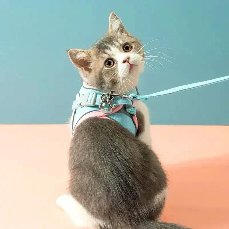 Katzengeschirr mit Leine – Komfortabler Sitz mit reflektierenden Sicherheitsstreifen Zorenza