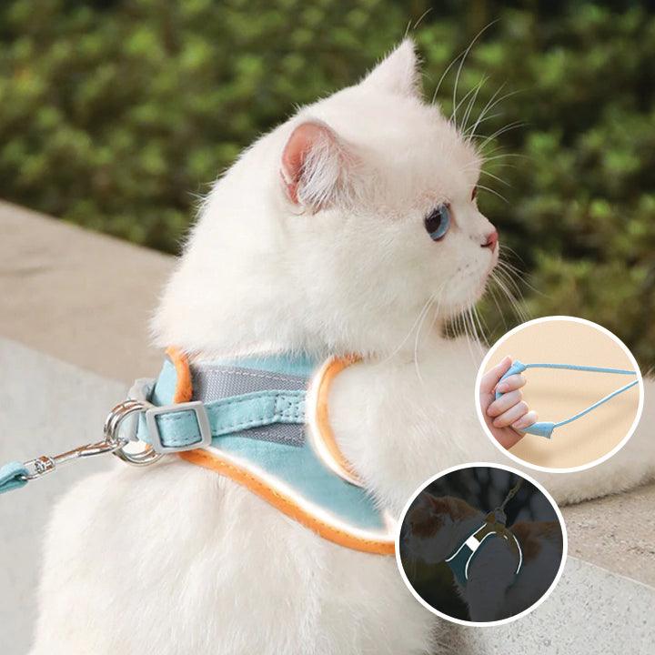 Katzengeschirr mit Leine – Komfortabler Sitz mit reflektierenden Sicherheitsstreifen Zorenza