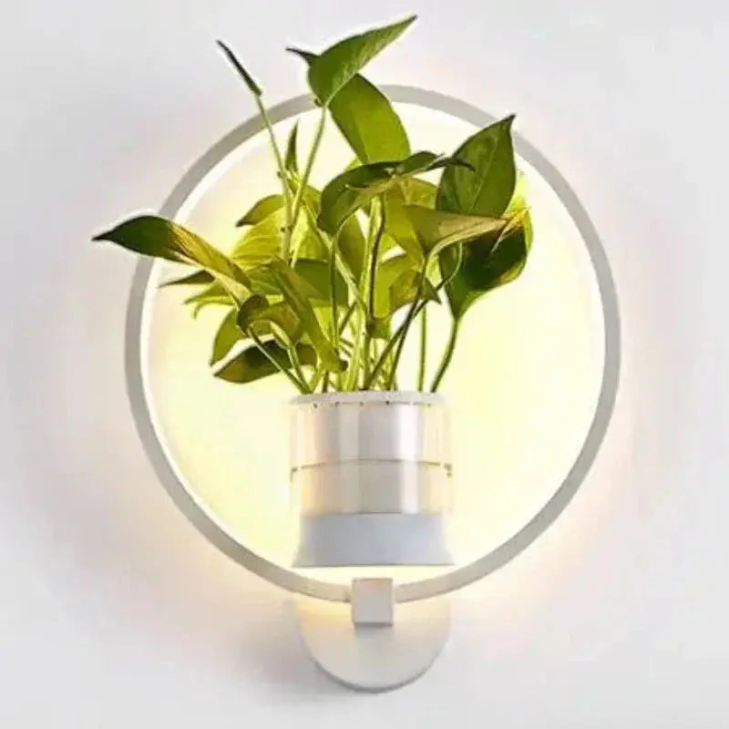 LED-Pflanzen-Wandleuchte mit Glasvase – Rund & Oval Zorenza