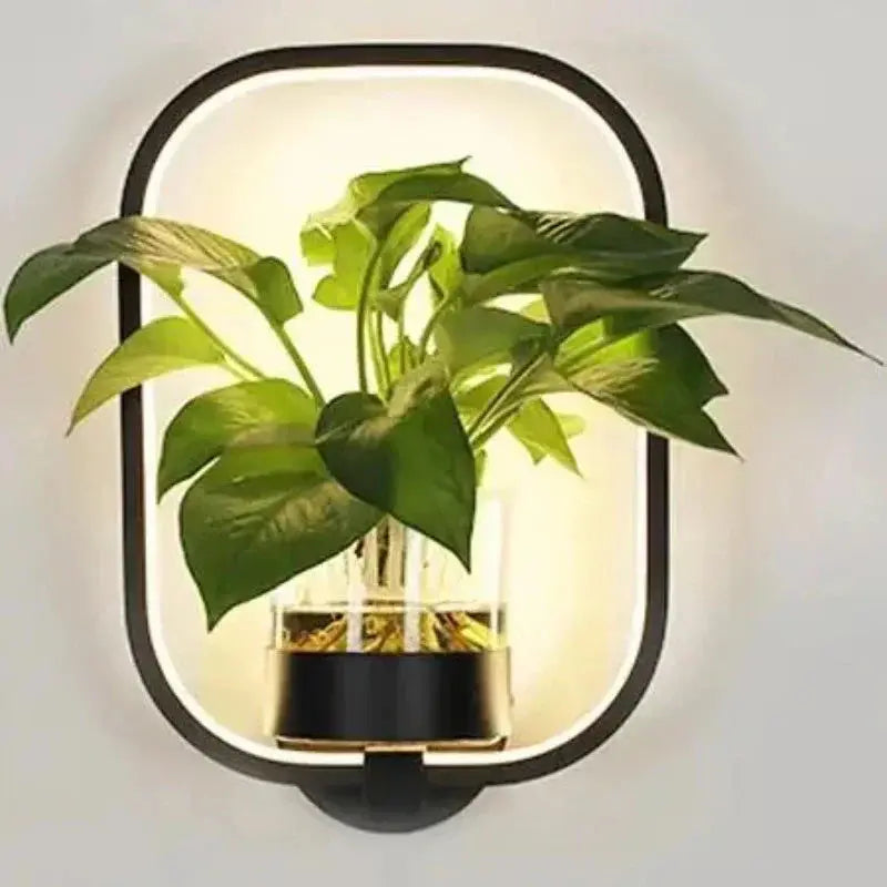 LED-Pflanzen-Wandleuchte mit Glasvase – Rund & Oval Zorenza