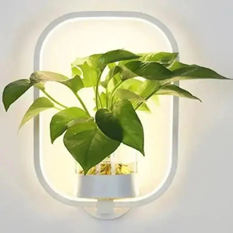 LED-Pflanzen-Wandleuchte mit Glasvase – Rund & Oval Zorenza