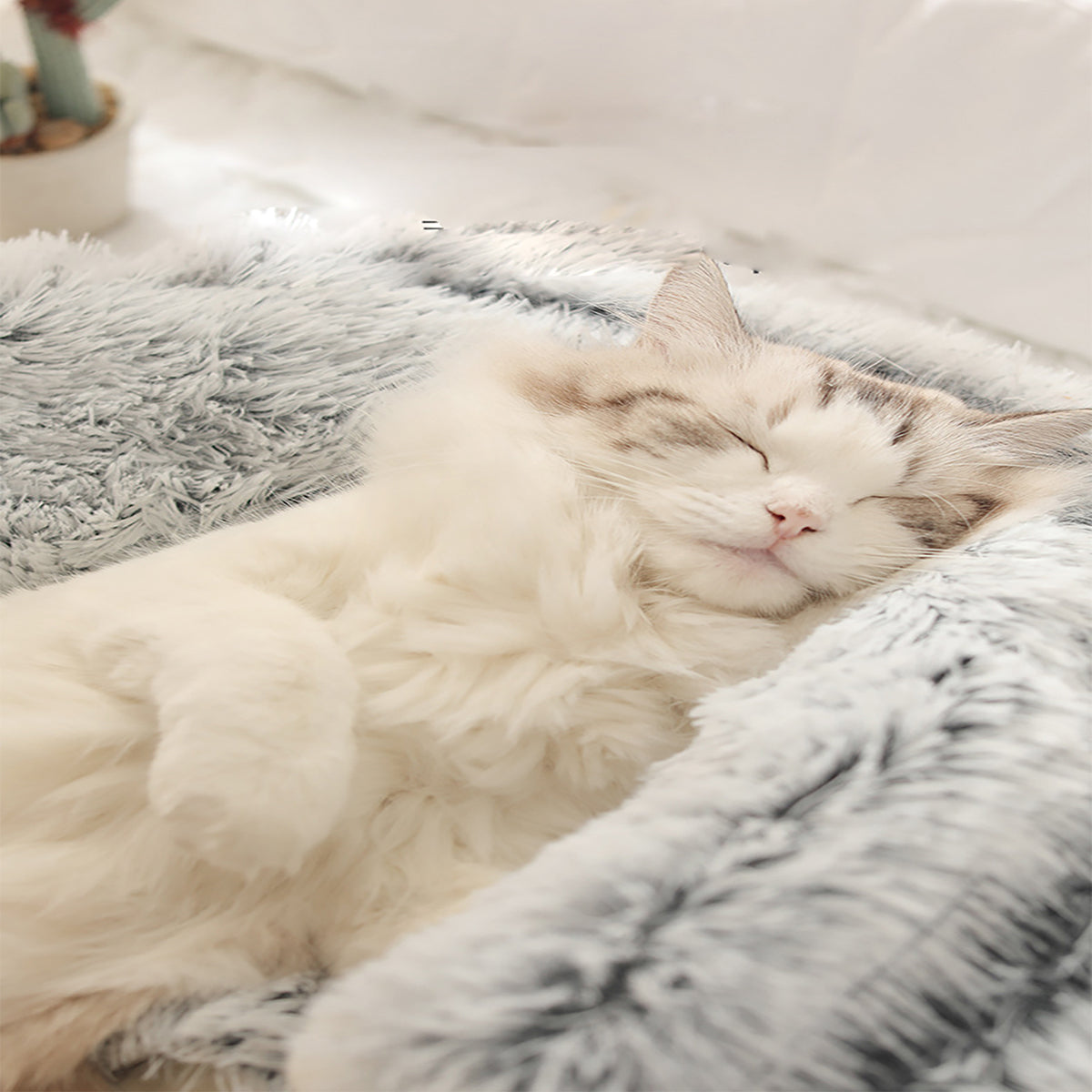 Plüschbett für Hunde und Katzen mit Halbhöhlen-Form -    Zorenza