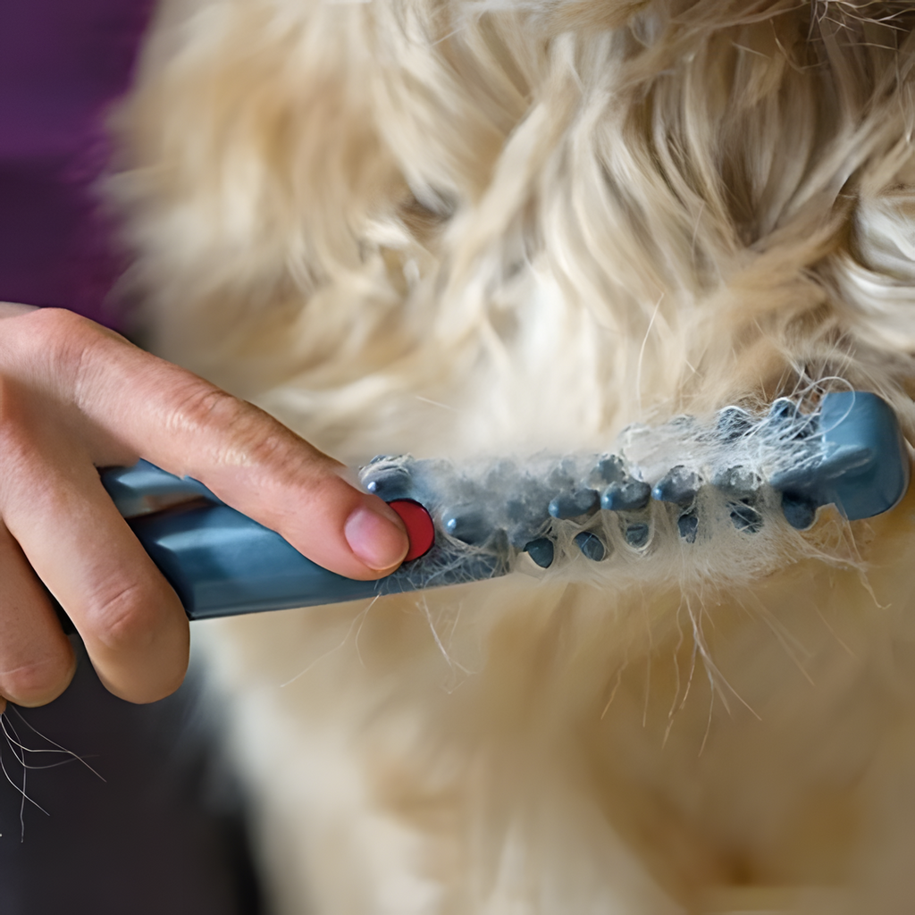Entfilzungskamm für Hunde und Katzen mit sanften Klingen -    Zorenza