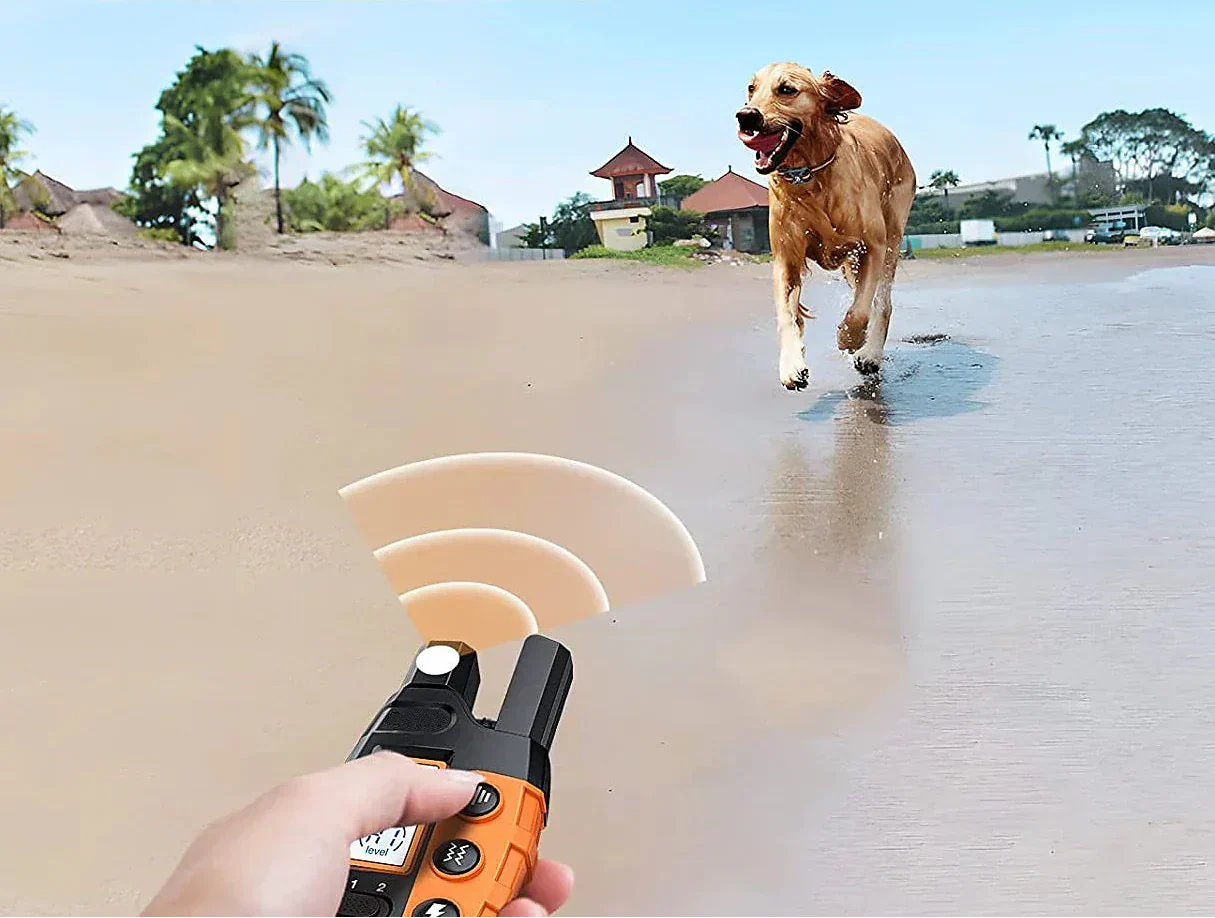 Hundetraining-Halsband mit Fernbedienung, wasserdicht -    Zorenza