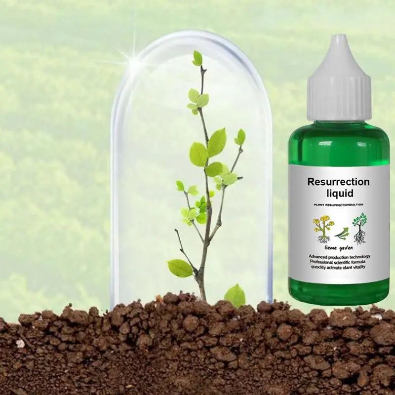 Pflanzen- & Blütenaktivator Flüssig – Stärkere Wurzeln & Mehr Blüten Zorenza