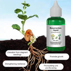 Pflanzen- & Blütenaktivator Flüssig – Stärkere Wurzeln & Mehr Blüten Zorenza