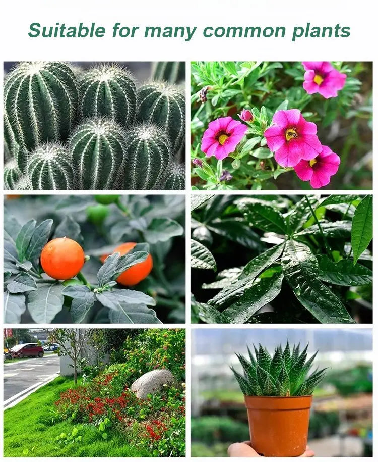 Pflanzen- & Blütenaktivator Flüssig – Stärkere Wurzeln & Mehr Blüten Zorenza