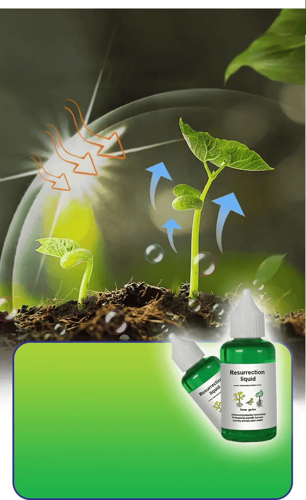 Pflanzen- & Blütenaktivator Flüssig – Stärkere Wurzeln & Mehr Blüten Zorenza