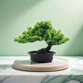 Pflegefreier Bonsai Kunstbaum 24 cm Zorenza