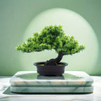 Pflegefreier Bonsai Kunstbaum 24 cm Zorenza