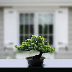 Pflegefreier Bonsai Kunstbaum 24 cm Zorenza