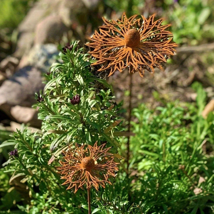 Gartenstecker Blume aus Eisen in Rostoptik Zorenza