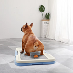 Hundetoilette mit rutschfester Matte für Innenräume -    Zorenza