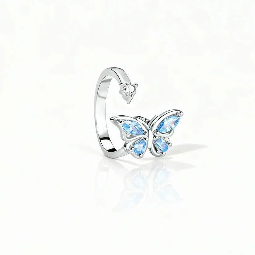 Verstellbarer Fidget-Ring – Drehband, polierter Edelstahl Zorenza