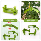 Pflanzenstütze verstellbar für stärkeres Wachstum -    Zorenza