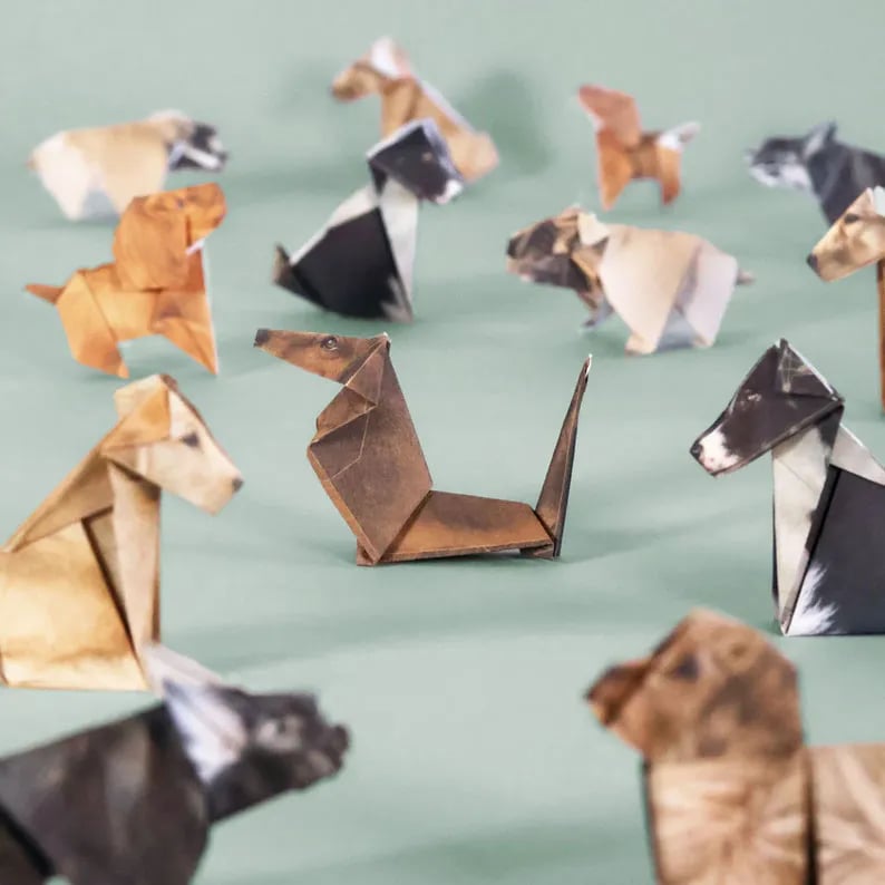 Origami-Bastelset zum Falten – 50 Tierfiguren aus Papier -    Zorenza