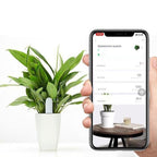 Pflanzensensor mit App-Steuerung – Bodenfeuchtigkeit und Nährstoffe -    Zorenza