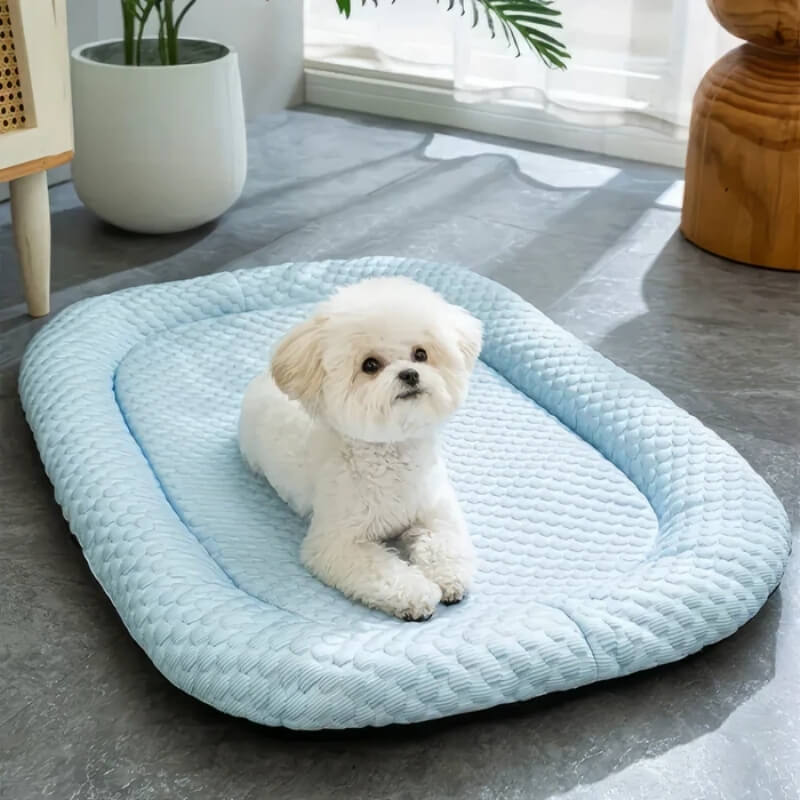 Kühlmatte für Hunde mit Temperaturkontrolle -    Zorenza