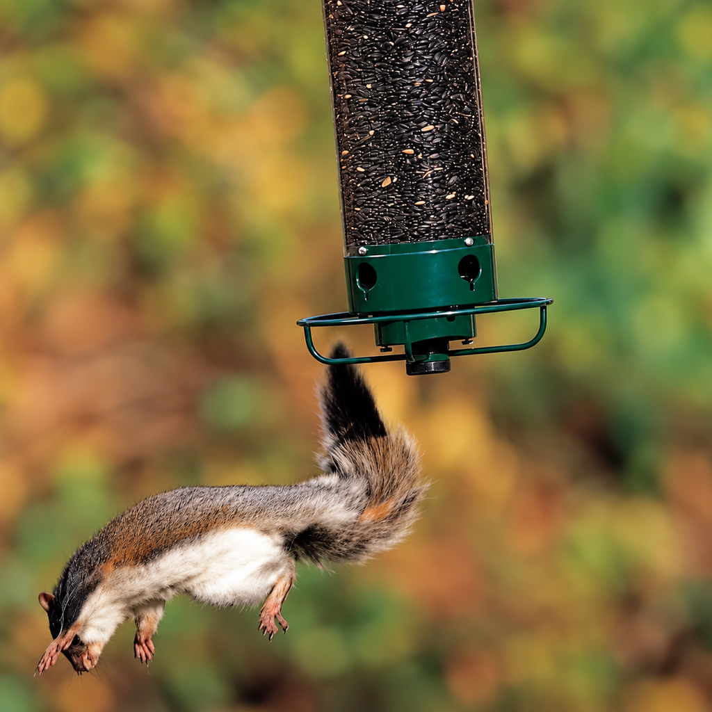 Vogelfutterspender Eichhörnchensicher mit 4 Futterstellen -    Zorenza