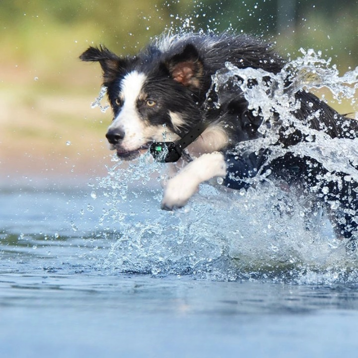 Wasserdichtes Hundetrainingshalsband mit Fernbedienung – 3 Modi für effektives Training -    Zorenza