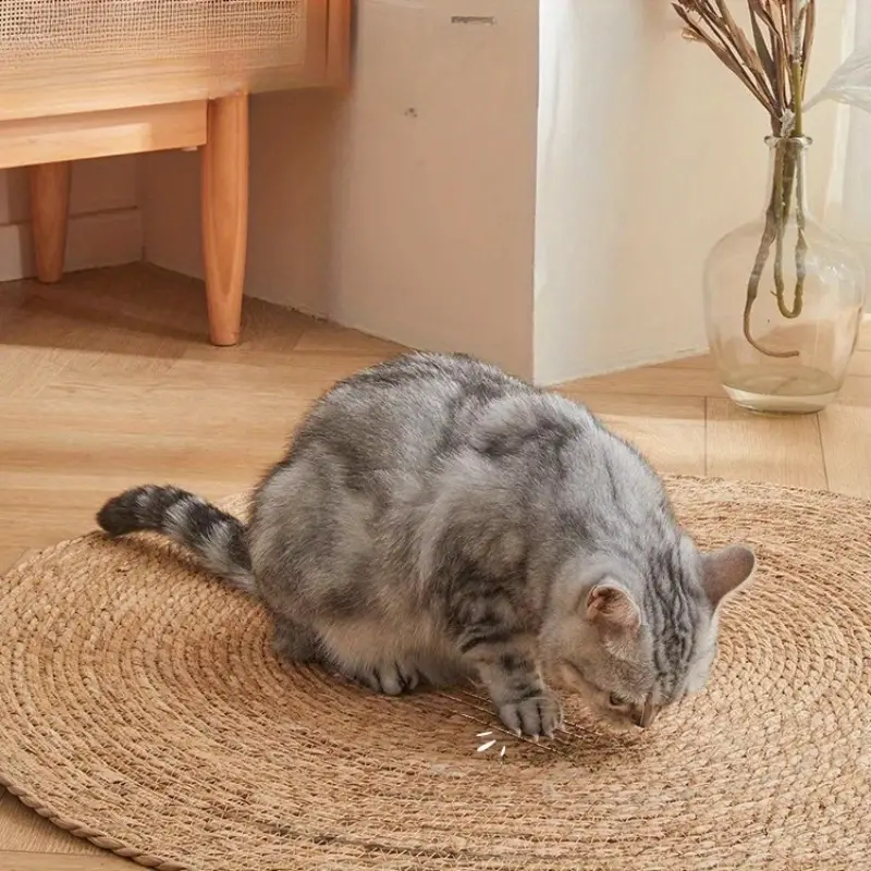 Geflochtene Jute-Kratzmatte für Katzen – Natürlich & Langlebig -    Zorenza
