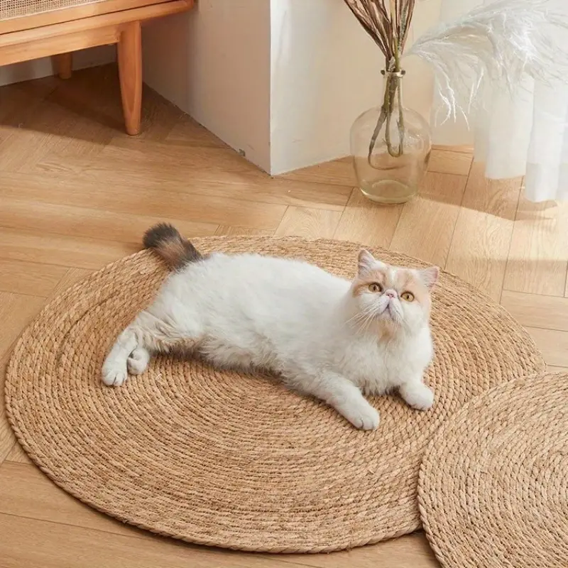 Geflochtene Jute-Kratzmatte für Katzen – Natürlich & Langlebig -    Zorenza
