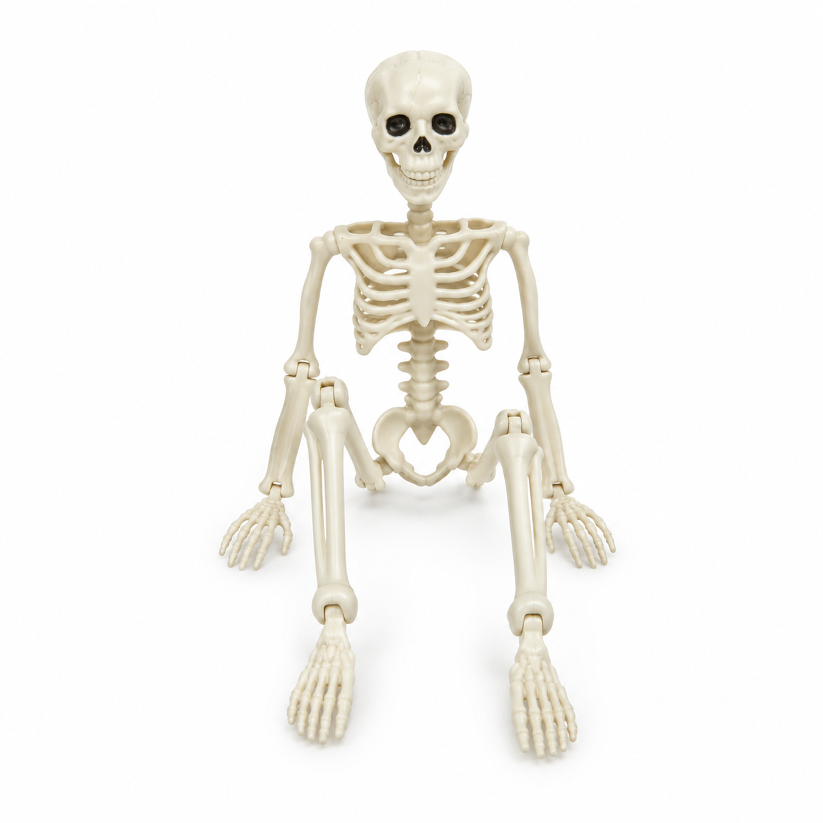 Halloween-Skelett 40 cm beweglich – Deko für Garten und Innenbereich -    Zorenza