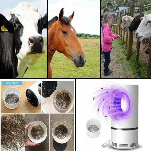 Elektrische Insektenfalle mit UV-Licht und Ventilator -    Zorenza