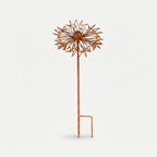 Studio collection image