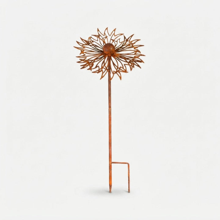 Studio collection image